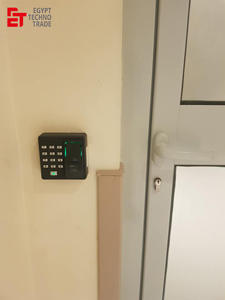 3004.jpg