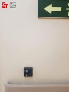 3007.jpg